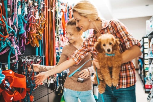 case study pet store increases business with 30 percent less