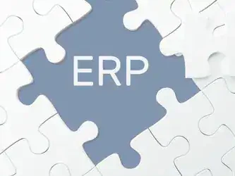 ERP feature