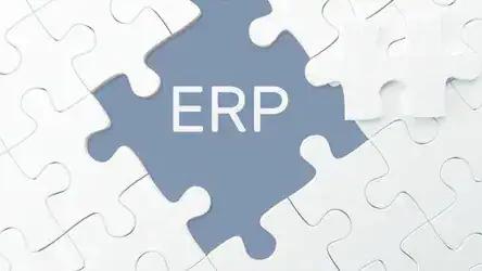 ERP feature