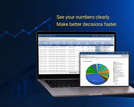Modern Accounting Software feature